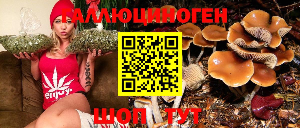 Галлюциногенные грибы Cubensis Артёмовский