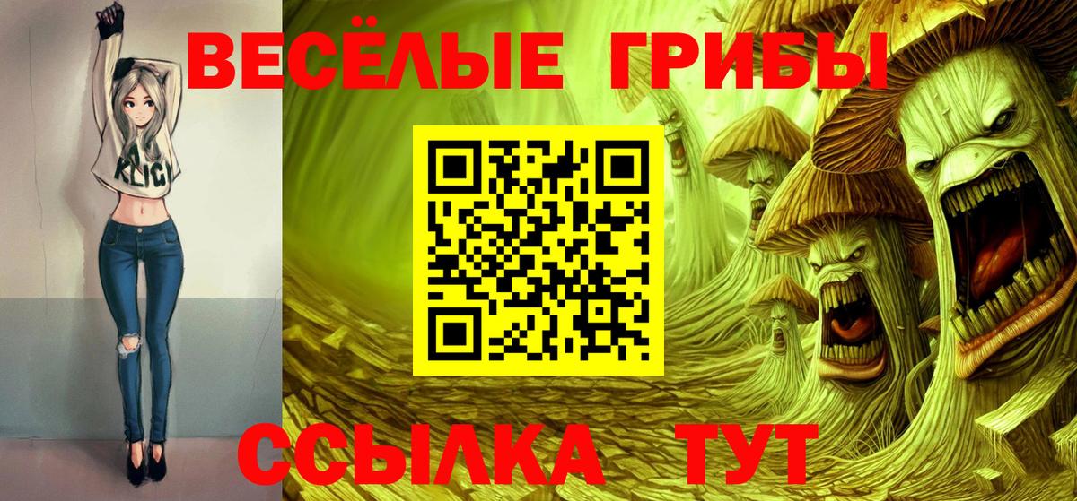 Галлюциногенные грибы Psilocybine cubensis  хочу   Вход с VPN  Артёмовский  Псилоцибиновые грибы мухоморы 